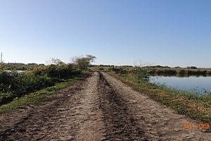       <br> 250    8  .  <br>