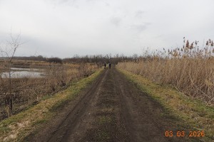 ��� �� ����������. <br>���������������� �������� ���������, ��������� <br>�����