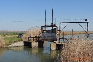 ��� �� ���������������� ����������,<br>���������-��������� �����